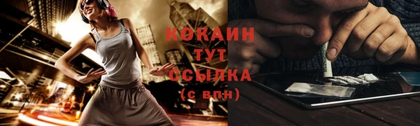 трава Арсеньев