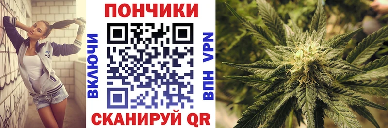 Купить закладки  Беломорск  Конопля планчик 